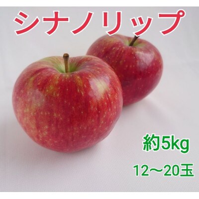 アグリスタくましろのシナノリップ　ご家庭用約5kg(12～20玉)　8月上旬より順次発送