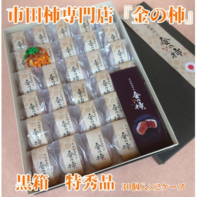 【先行受付】【市田柿専門店　金の柿】黒箱「特秀品」2Lサイズ30個入り 2箱セット