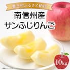 【期間・数量限定】南信州産 サンふじりんご 贈答用 10kg