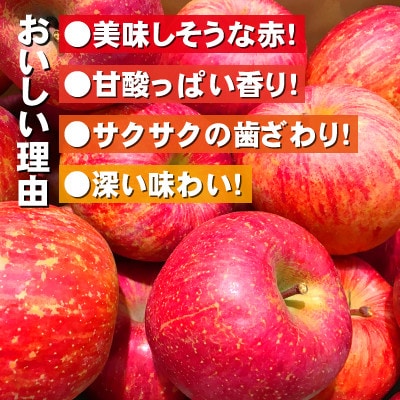 【豊丘村】南信州産 サンふじりんご 10kg(贈答用)【12月初旬より発送予定】