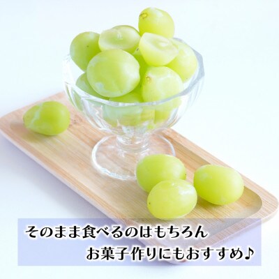 【豊丘村】冬に味わう 貯蔵シャインマスカット約1.2kg(2房) ※12月17日発送※