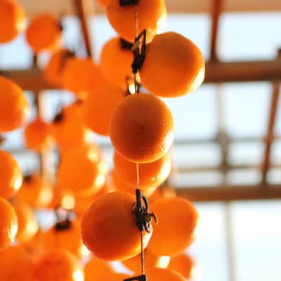 【長野県産】南信州に伝わる伝統の味「市田柿」500g