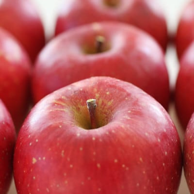 【長野県産】サンふじ(約3kg)秀品