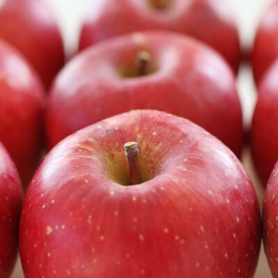 【長野県産】サンふじ(約10kg)秀品