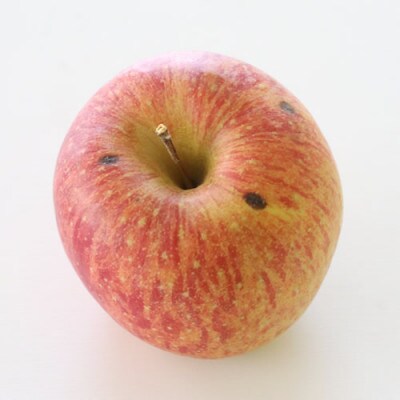 【訳あり品】 長野県産・サンふじ(約5kg)