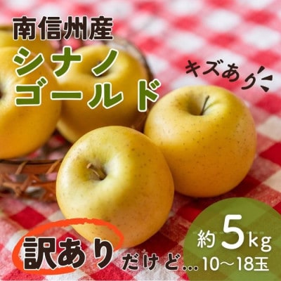 訳あり【南信州産】シナノゴールド　約5kg　10玉～18玉入り　2025年　10月下旬～順次発送