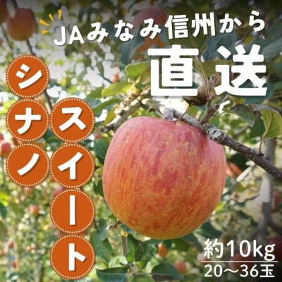 【南信州産】シナノスイート 秀品 約10kg(20～36玉) 10月上旬～順次発送