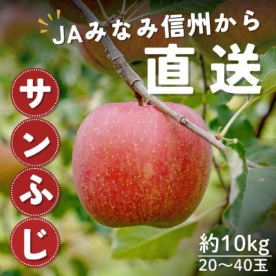 【南信州産】サンふじ 秀品 約10kg(20～40玉) 11月下旬～順次発送