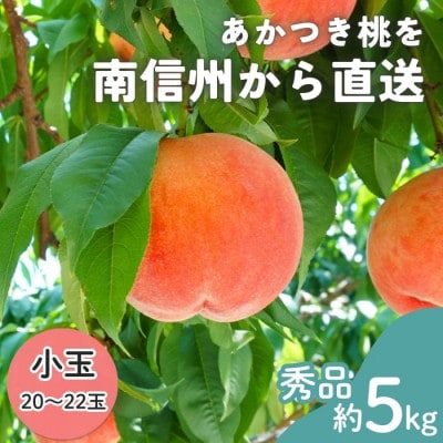 【南信州産】あかつき桃　秀品　小玉20～22玉　約5kg　7月下旬～順次発送