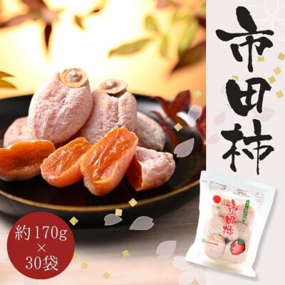【南信州産】市田柿　秀品　家庭用　約170g×30袋