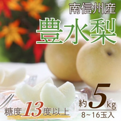 【南信州産】　豊水梨　太鼓判・優等生　約5kg(8～16玉入り)9月中旬から順次発送