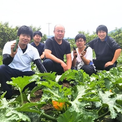 【南信州産】ズッキーニ　約2kg(11～13本入り)6月上旬から順次発送