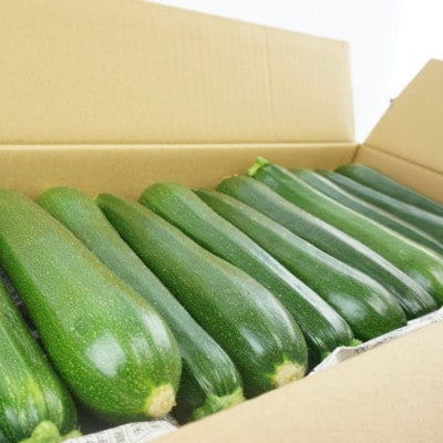 【南信州産】ズッキーニ　約2kg(11～13本入り)6月上旬から順次発送