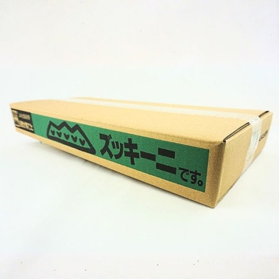 【南信州産】ズッキーニ　約2kg(11～13本入り)6月上旬から順次発送