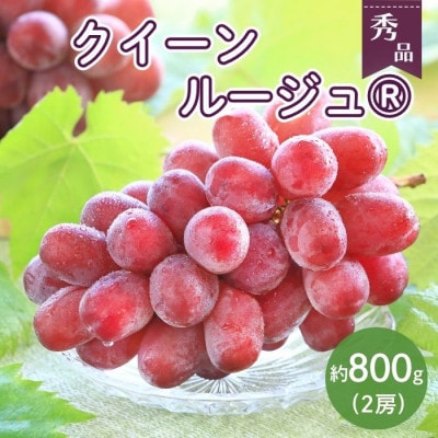 【南信州産】クイーンルージュ(R)　2房(計約800g) 2026年9月より順次発送
