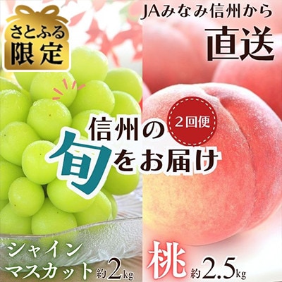 【発送月固定定期便】【さとふる限定】南信州で人気のフルーツ!!旬の桃とシャインマスカット全2回