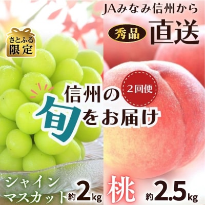 【発送月固定定期便】【さとふる限定】南信州で人気のフルーツ!!旬の桃とシャインマスカット全2回