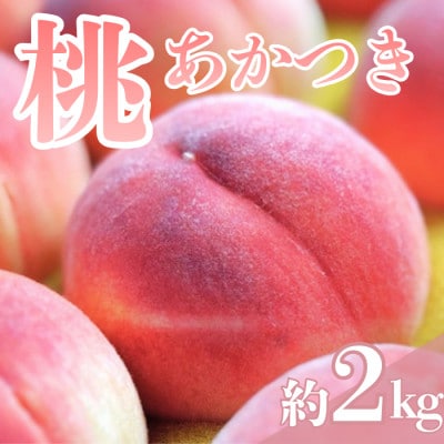 【7月下旬より順次発送】南信州産「桃」あかつき 約2kg 【5～9玉】