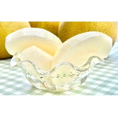 【8月中旬より発送予定】南信州産「幸水梨」約5kg【12～16玉】糖度11.0以上