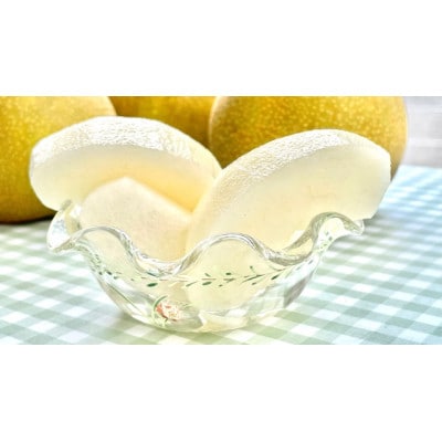 【9月上旬から発送予定】南信州産「豊水梨」約5kg 【12～16玉】 糖度11.0以上