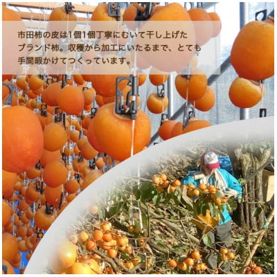 南信州産《GI登録商品》【市田柿】 約170g×4〈2027年1月中旬~発送予定〉