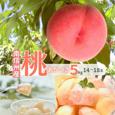 【7月下旬より順次発送】南信州産「桃」あかつき 約5kg 【14～18玉】