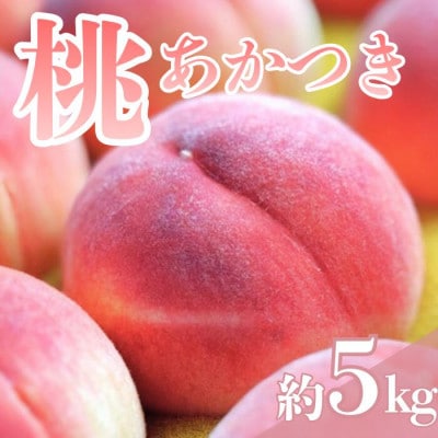 【7月下旬より順次発送】南信州産「桃」あかつき 約5kg 【14～18玉】