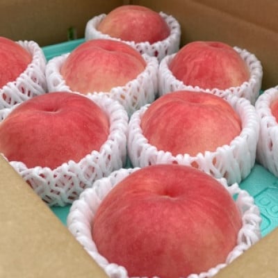 【7月下旬より順次発送】南信州産「桃」あかつき 約5kg 【14～18玉】