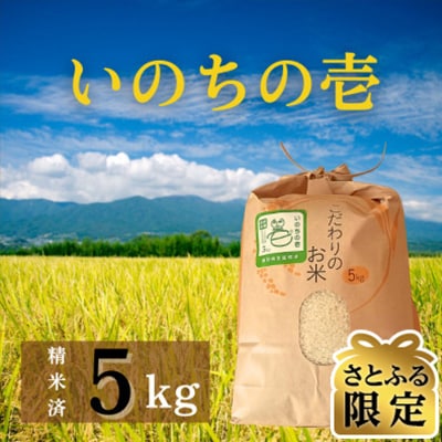 さとふる限定】【2024年産】いのちの壱(精米) 5kg | 長野県豊丘