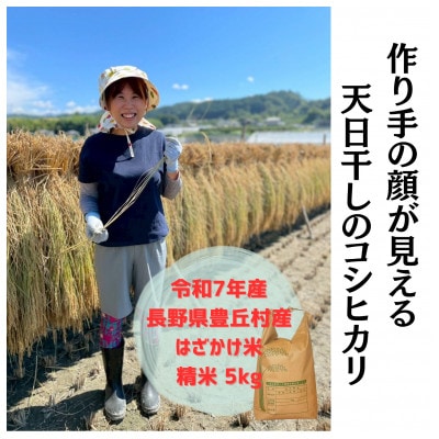 【天日干しのコシヒカリ】【令和7年産新米】 長野県豊丘村産コシヒカリ　精米　5kg