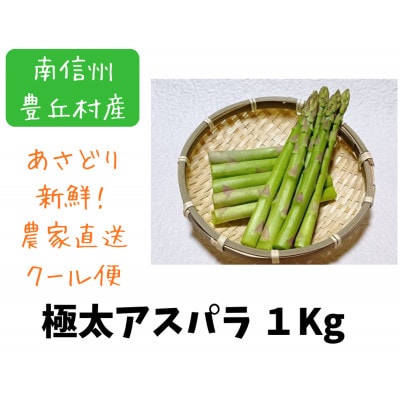 【令和8年4月より順次発送】春芽　極太アスパラガス　長野県　南信州豊丘村産　1kg