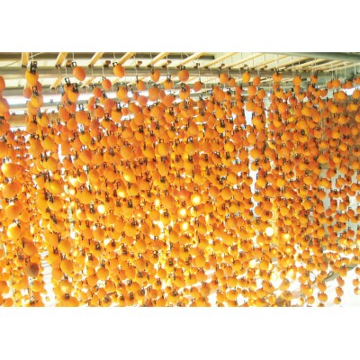 【さとふる限定】干し柿2種(市田柿・ひらたね柿)食べくらべセット計800g