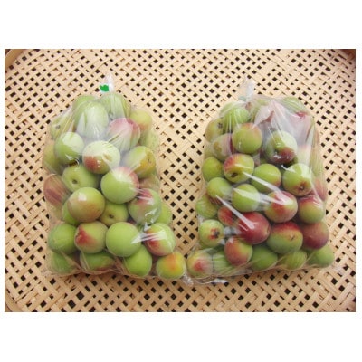 【農家直送】南高梅 2kg 長野県豊丘村産