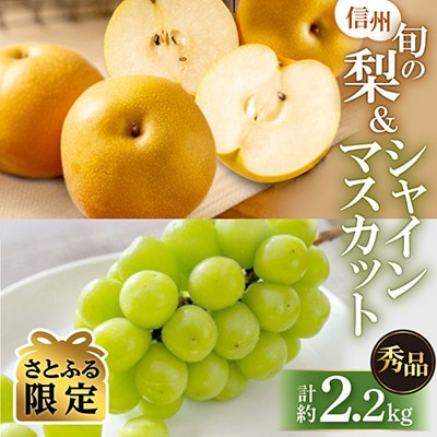 南信州産 JA秀品 シャインマスカット(1房)・旬の梨(4玉)セット 計約2.2kg【さとふる限定】