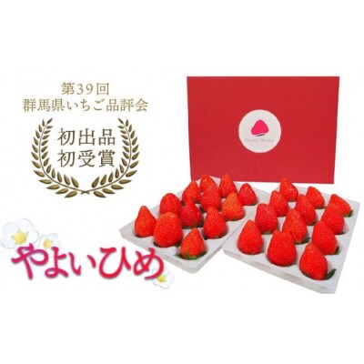 【先行受付】フルッティロッシのいちご(やよいひめ)【出荷時期:1月〜4月頃】