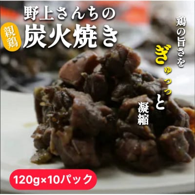 野上さん家の炭火焼(120g×10パック)