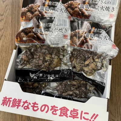 野上さん家の炭火焼(120g×10パック)
