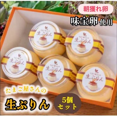 (贅沢しよう)たまご屋さんの生ぷりん5個セット