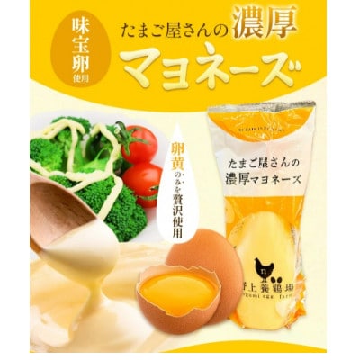 たまご屋さんの濃厚マヨネーズ2本　野上養鶏場　味宝卵