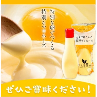 たまご屋さんの濃厚マヨネーズ2本　野上養鶏場　味宝卵