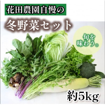 冬野菜セット (5kg)