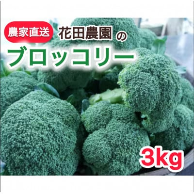 朝採れ　農家直送ブロッコリー　10個(3kg以上)