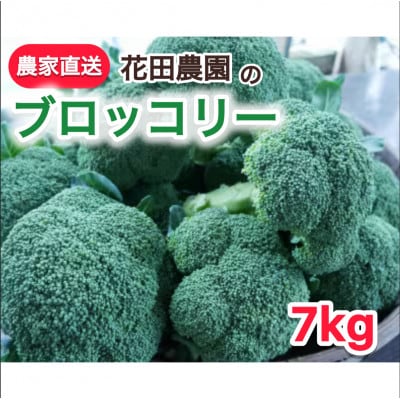 朝採れ　農家直送ブロッコリー　20個(約7kg)