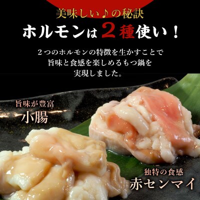 特撰博多もつ鍋【まろやかあごだし醤油仕立て】 2～3人前
