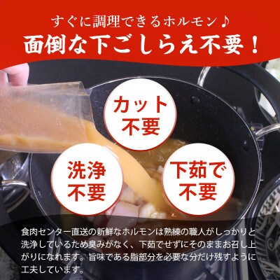 特撰博多もつ鍋【まろやかあごだし醤油仕立て】 4～5人前