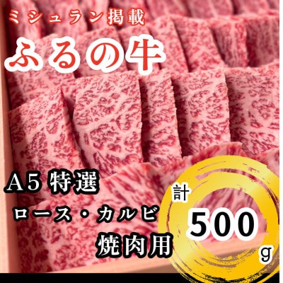 【ミシュラン掲載】ふるの牛　A5特選焼肉用　500g(特選ロース、特選カルビ)(牧場直送)