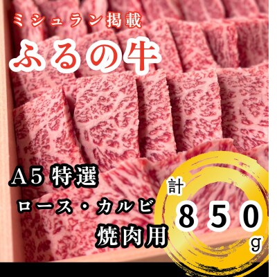 【ミシュラン掲載】ふるの牛　A5特選焼肉用　850g(特選ロース、特選カルビ)(牧場直送)