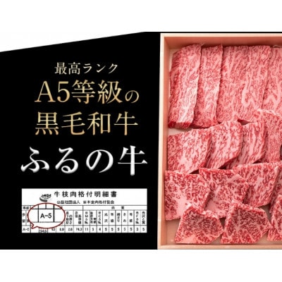 【ミシュラン掲載】ふるの牛　A5特選焼肉用　850g(特選ロース、特選カルビ)(牧場直送)