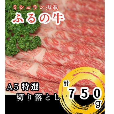 【ミシュラン掲載】ふるの牛　A5特選切り落とし　750g(牧場直送)