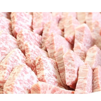 【ミシュラン掲載】ふるの牛　A5特選焼肉用　1.7kg(特選ロース、特選カルビ)